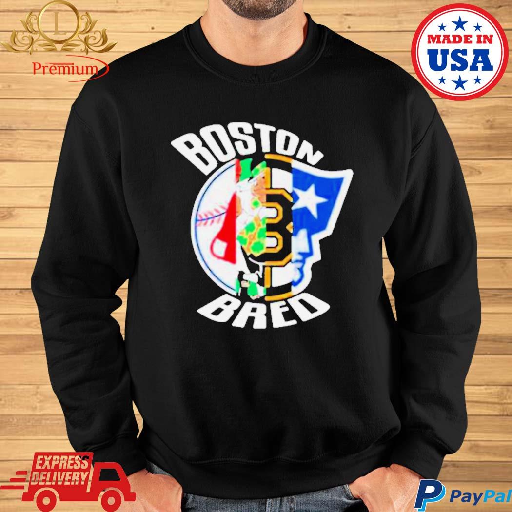 Official boston Bruins Boston Red Sox Boston Celtics New England Patriots  Shirt, hoodie, sweater, long sleeve and tank top