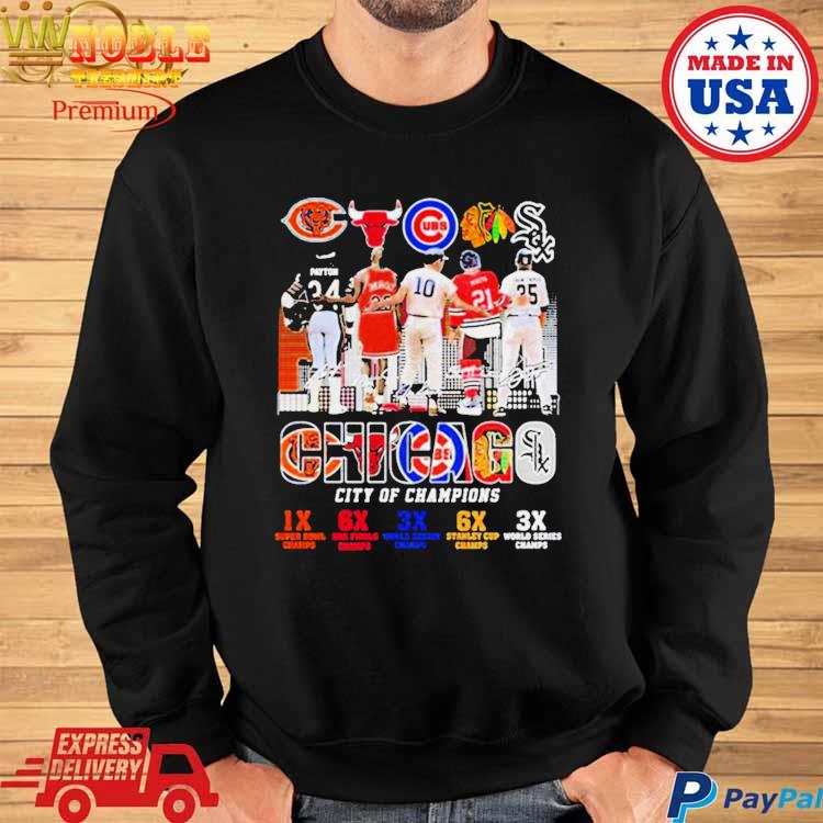 Chicago Bears Cubs Bulls White Sox Blackhawks City Of Champions