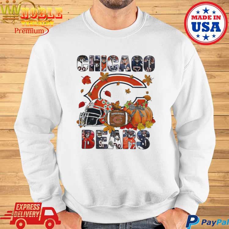 Official chicago Bears Lines Logo Sport 2023 Shirt, hoodie, sweater, long  sleeve and tank top