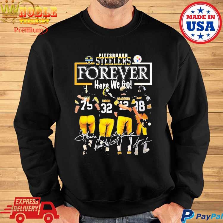 Official pittsburgh Steelers Here We Go The 2023 T-Shirts, hoodie, tank  top, sweater and long sleeve t-shirt