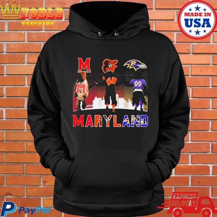 Maryland Baltimore Ravens Orioles And Terrapins T Shirt, hoodie